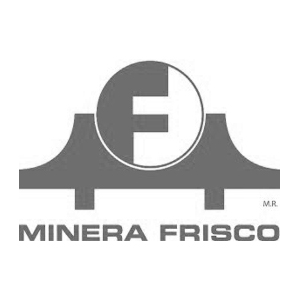 L-MINERA FRISCO
